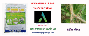 New-Kasuran-16.6WP-