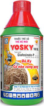 yosky