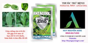 Nofacol-70WP-Antacool-Zinc++.-3