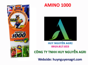 AMINO 1000