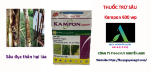 Kampon 600 wp 
