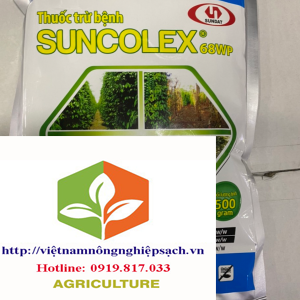 SUNCOLEX-68WP-600x801-1-300x300 - Copy - Copy