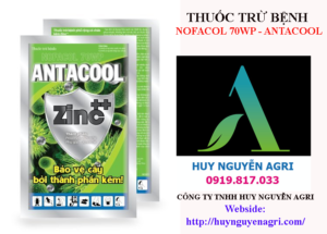 Nofacol 70WP Antacool Zinc++