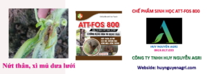 ATT-FOS 800